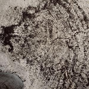 Brand New (feat. Omega Nova)