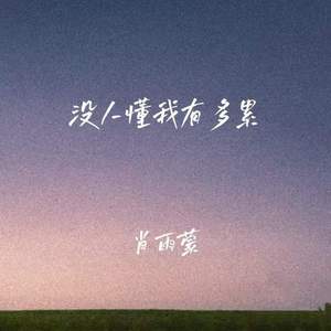 没人懂我有多累