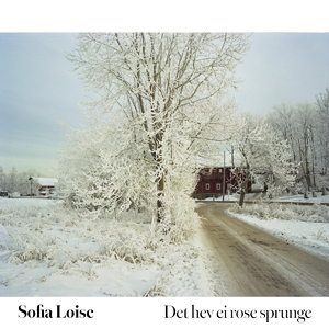 Det hev ei rose sprunge