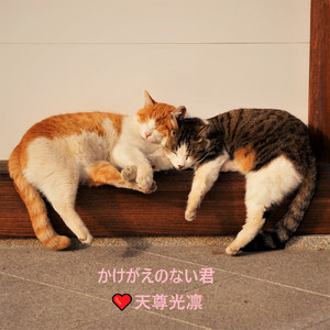 かけがえのない君