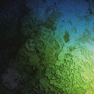 Forever Young Perspective