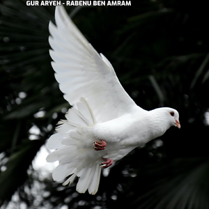 Rabenu Ben Amram