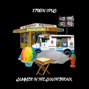 Summer in the South Bronx