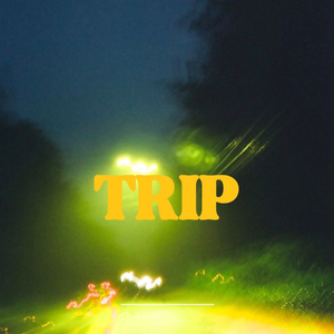 Trip
