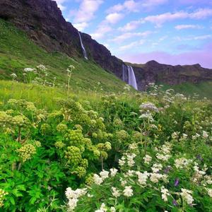 欢乐的日子来相聚