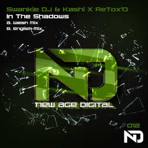 In The Shadows (Welsh Mix)