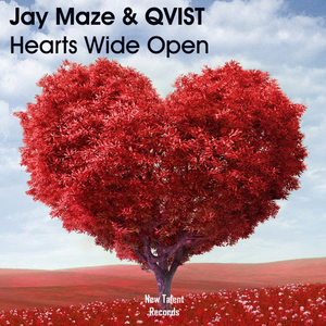 Hearts Wide Open (Radio)