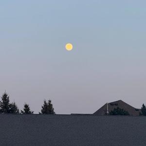 diaryvalentine (ablsolute angelus) (feat. polo mac)