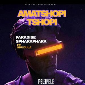 Amatshopi tshopi (feat. Sdudula)