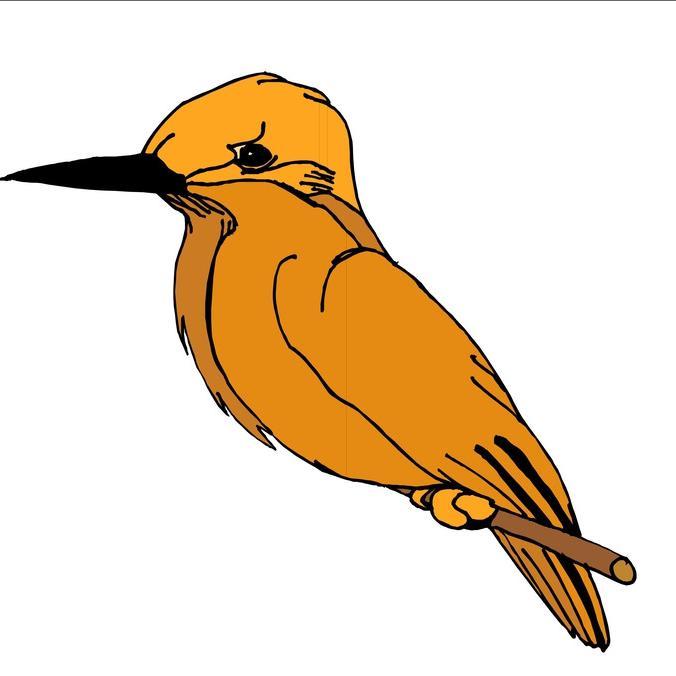 DesolateBird封面