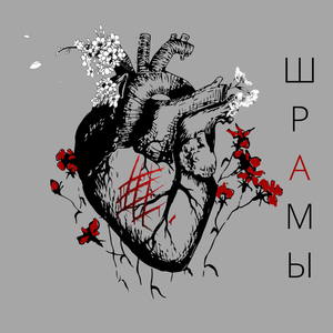 Шрамы