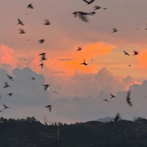 你是我的风景 .wav