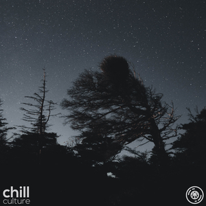 Howling Wind And Thunder Sounds, Pt. 95