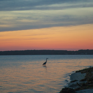 Clearwater