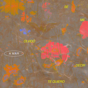 Se Me Olvidó Decir Te Quiero