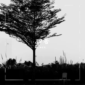 《问题》 《回答》