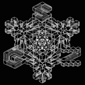 Golden Soldier Octopus