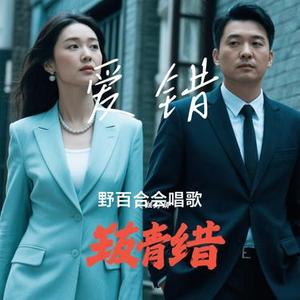 爱错 (Cover 王力宏)