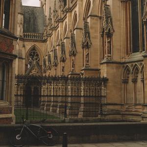 温柔只给意中人