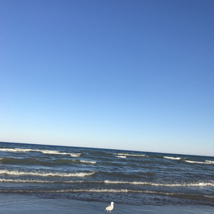 后来（翻自 刘若英）