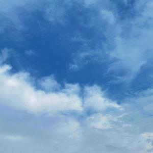 弹壳（DEMO)（翻自 弹壳Danko）