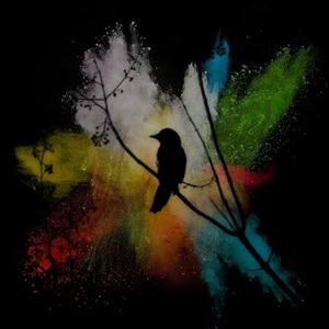 Epo Tai Tai E (I will be happy)