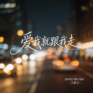 爱我就跟我走（抖音热播版）