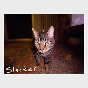 Slacker