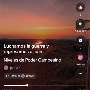 Niveles de poder Campesino