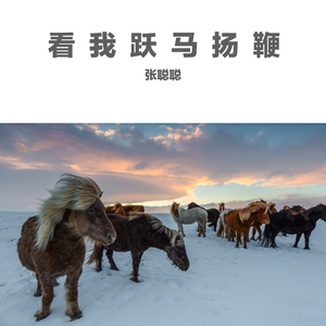 看我跃马扬鞭 bB调伴奏