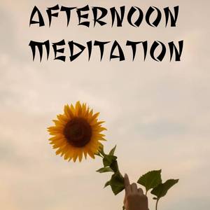 Afternoon Meditation