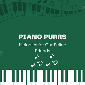 Contented Catnap Chords