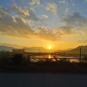 树人