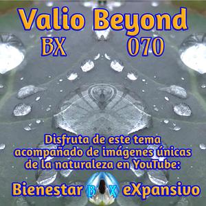 BX 070 Gotas de invierno