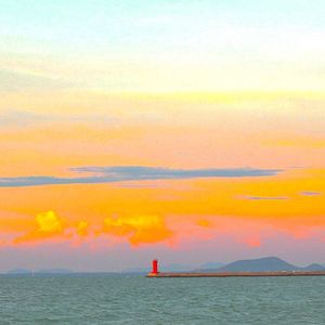 爱如阵风的错觉