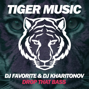 Drop That Bass (Big Room Mix)