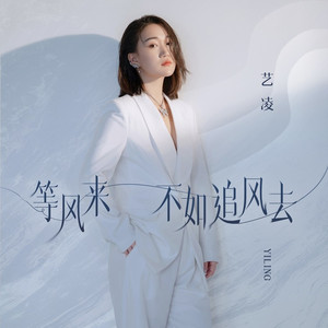 等风来不如追风去 (DJ翊轩版)