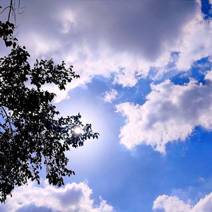 初雪带来的自然向往