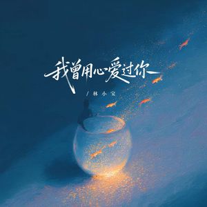 我曾用心爱过你（女声版）