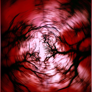 正中心（Prod.kzz）