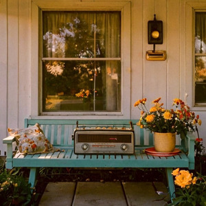 Under the Dance Hall Lights