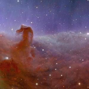 ME GUSTA EL OYO DE DON FRANCISCO Y QUIERO VERLE EL COLALE POR QUE ME EXITA (feat. Gustavo wtf & Gansita)