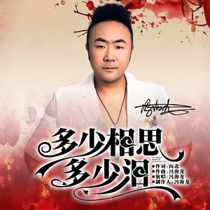 多少相思多少泪