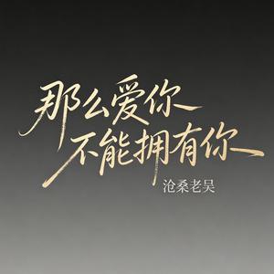 那么爱你不能拥有你（在乎你的人）