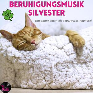 Beruhigungsmusik – Warm und geborgen