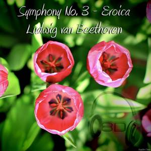 Symphony No. 3 In E Flat Major, Op. 55 'Eroica'- I Allegro con brio - Ludwig Van Beethoven (8D Binaural Remastered - Music Therapy)