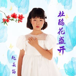 杜鹃花盛开