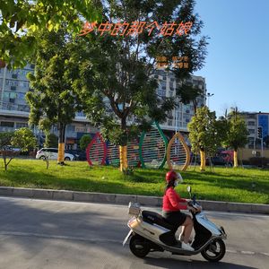 梦中的那个姑娘