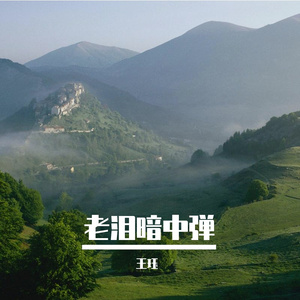 纸上蝴蝶