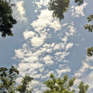满城爱意